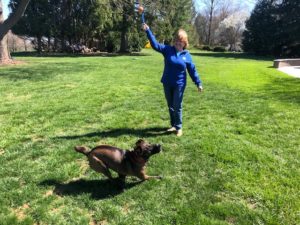 Photo of LCH RD Linda playing with her dog outside