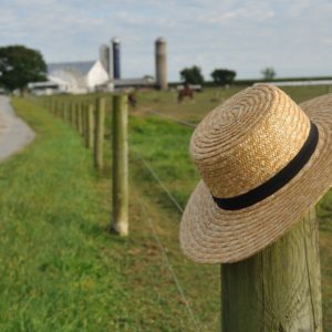 Image of Amish Farm