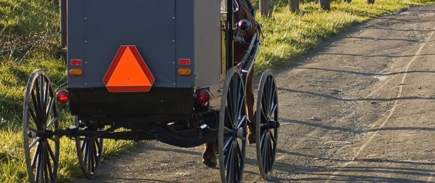 Hors and Buggy image